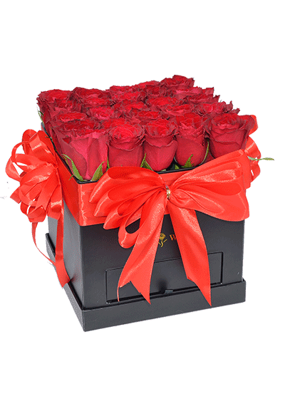 Red Roses Black Box